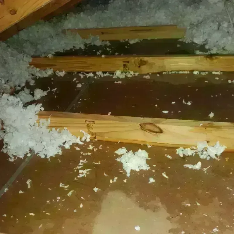 Attic Water Damage in York, AL