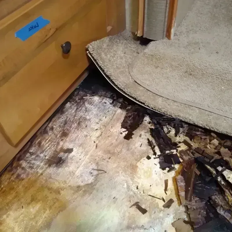 Wood Floor Water Damage in York, AL